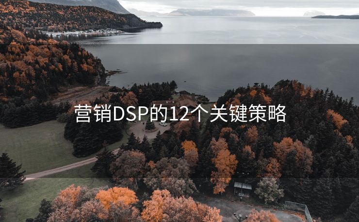 營(yíng)銷DSP的12個(gè)關(guān)鍵策略