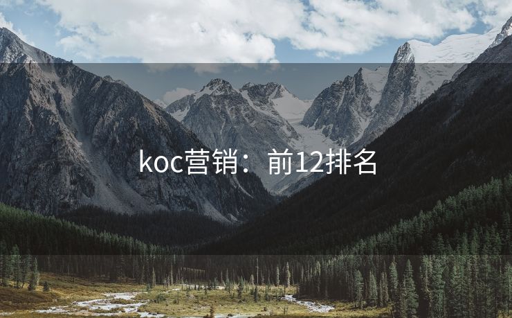 koc營(yíng)銷：前12排名