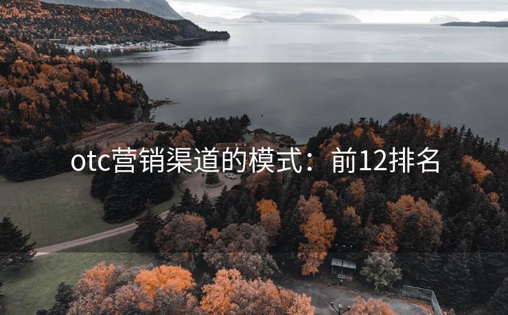 otc營銷渠道的模式：前12排名