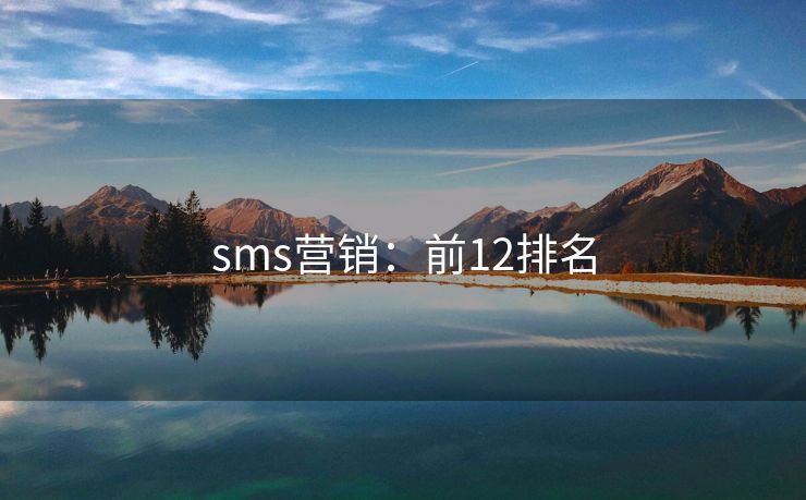 sms營(yíng)銷：前12排名