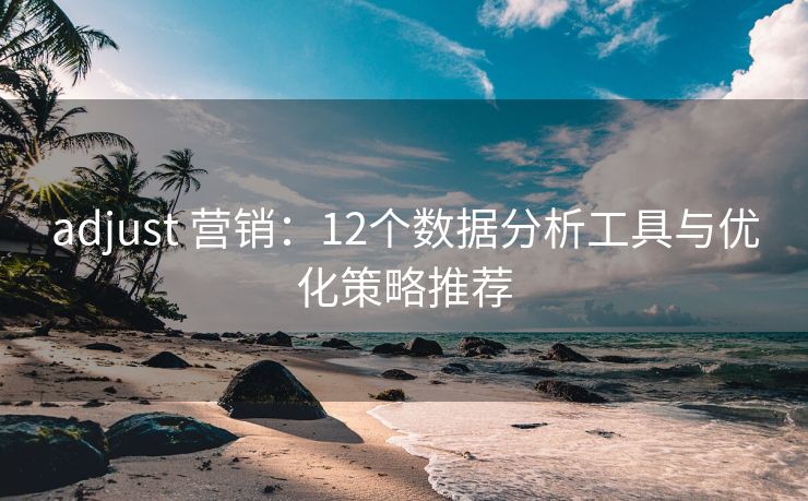 adjust 營銷：12個數(shù)據(jù)分析工具與優(yōu)化策略推薦