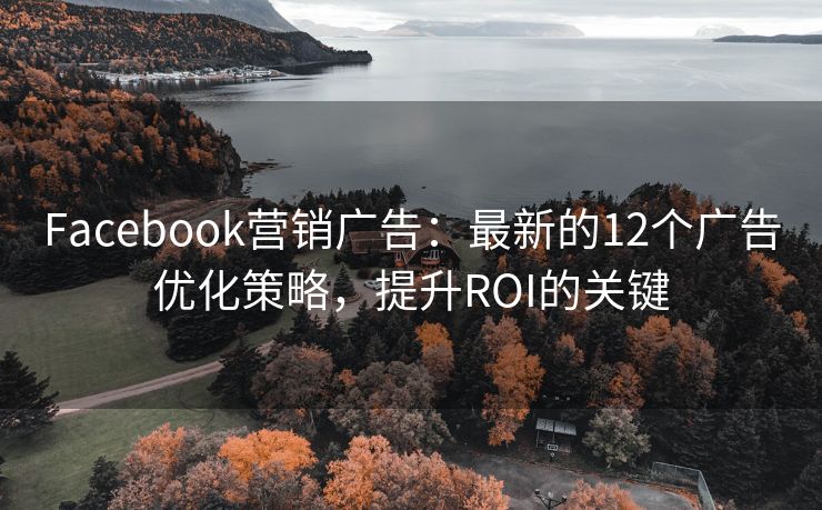 Facebook營(yíng)銷廣告：最新的12個(gè)廣告優(yōu)化策略，提升ROI的關(guān)鍵