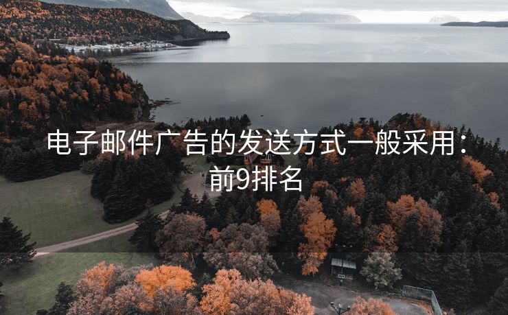 電子郵件廣告的發(fā)送方式一般采用：前9排名