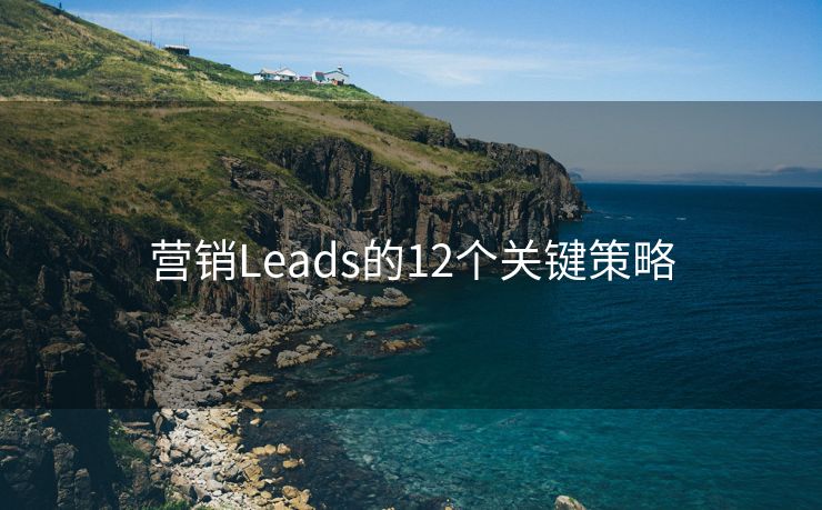 營(yíng)銷Leads的12個(gè)關(guān)鍵策略