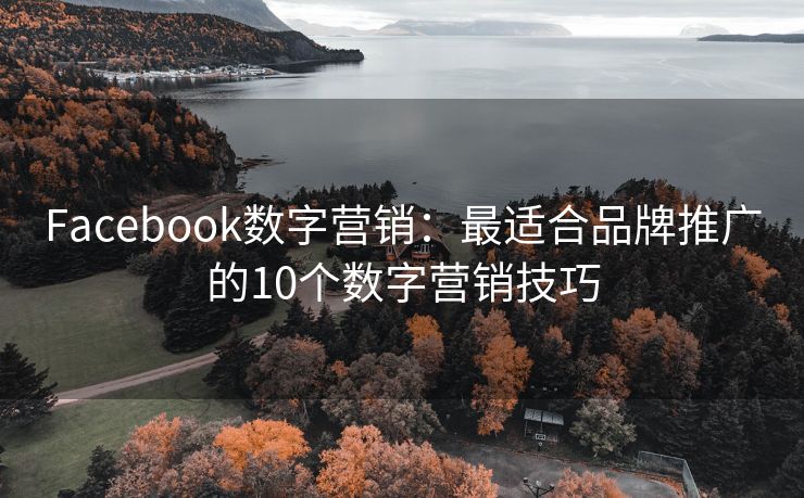 Facebook數(shù)字營銷：最適合品牌推廣的10個數(shù)字營銷技巧