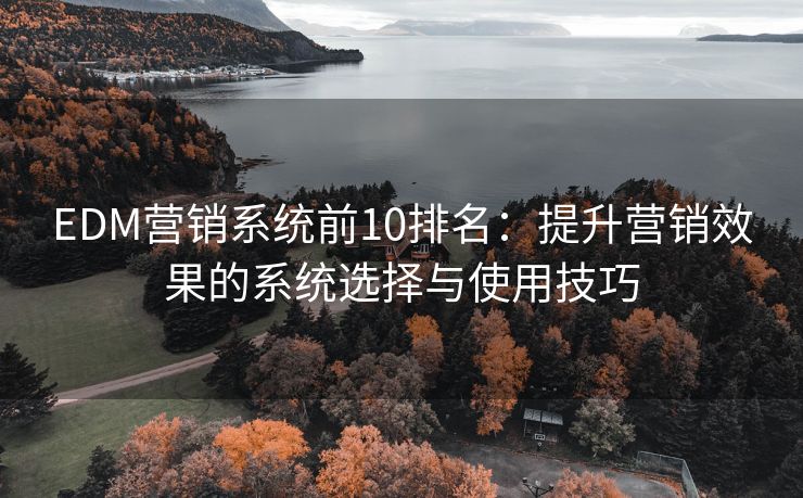 EDM營銷系統(tǒng)前10排名：提升營銷效果的系統(tǒng)選擇與使用技巧