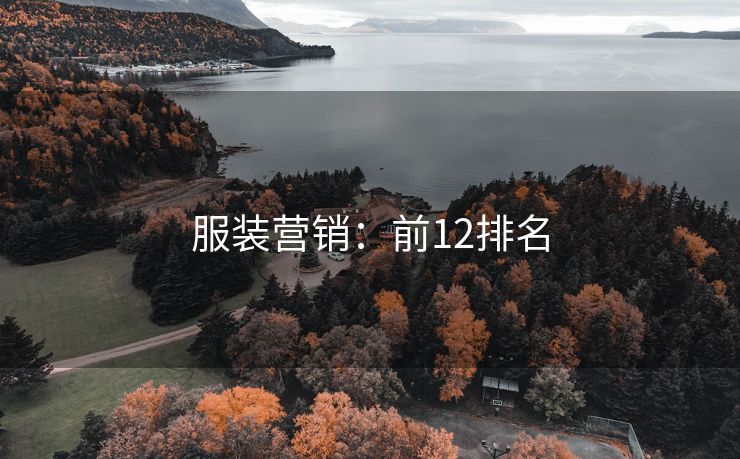 服裝營銷：前12排名