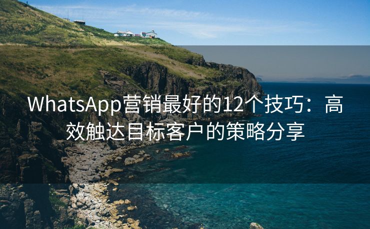 WhatsApp營銷最好的12個(gè)技巧：高效觸達(dá)目標(biāo)客戶的策略分享