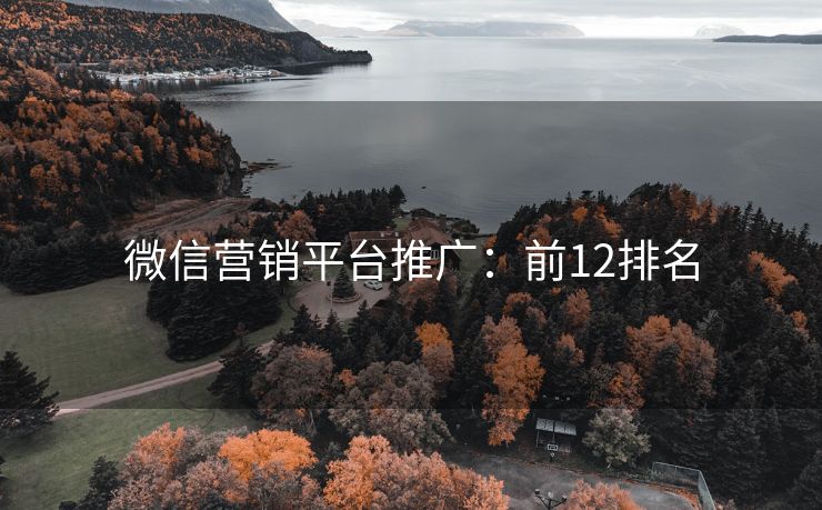 微信營銷平臺(tái)推廣：前12排名