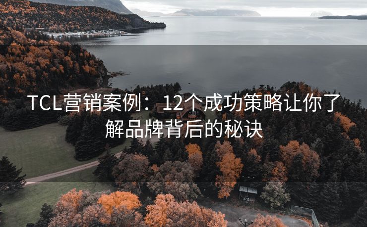 TCL營(yíng)銷案例：12個(gè)成功策略讓你了解品牌背后的秘訣