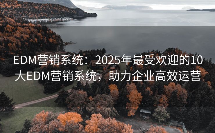 EDM營(yíng)銷系統(tǒng)：2025年最受歡迎的10大EDM營(yíng)銷系統(tǒng)，助力企業(yè)高效運(yùn)營(yíng)