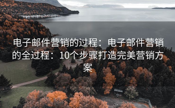 電子郵件營銷的過程：電子郵件營銷的全過程：10個步驟打造完美營銷方案