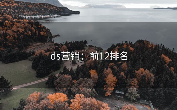 ds營銷：前12排名