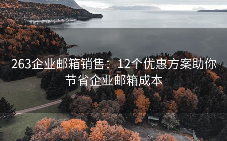 263企業(yè)郵箱銷售：12個(gè)優(yōu)惠方案助你節(jié)省企業(yè)郵箱成本
