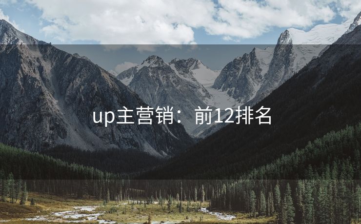 up主營銷：前12排名