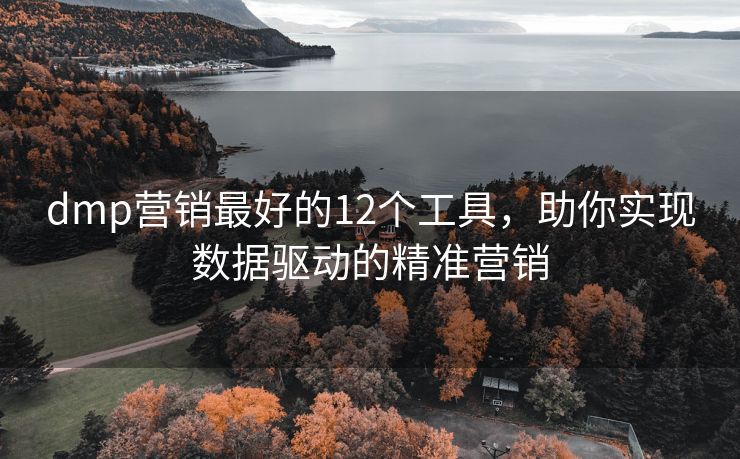 dmp營(yíng)銷(xiāo)最好的12個(gè)工具，助你實(shí)現(xiàn)數(shù)據(jù)驅(qū)動(dòng)的精準(zhǔn)營(yíng)銷(xiāo)