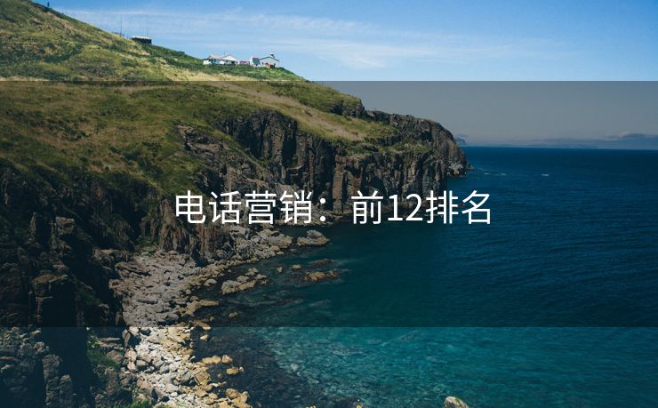 電話營銷：前12排名
